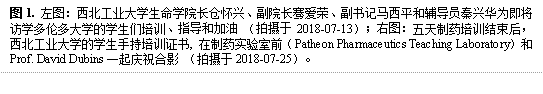 图1. 左图:欧博ABG中文官网入口长仓怀兴、副院长骞爱荣、副书记马西平和辅导员秦兴华为即将访学多伦多大学的学生们培训、指导和加油 (拍摄于2018-07-13);右图:五天制药培训结束后,欧博ABG中文官网入口的学生手持培训证书, 在制药实验室前(Patheon Pharmaceutics Teaching Laboratory)和Prof. David Dubins一起庆祝合影 (拍摄于2018-07-25)。